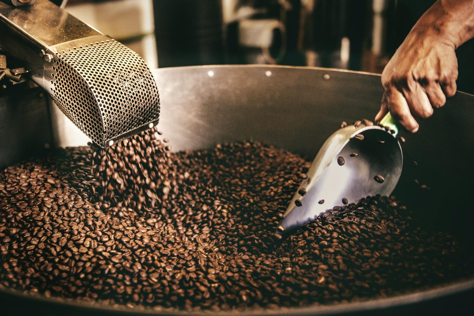 Close-up of roasted coffee beans