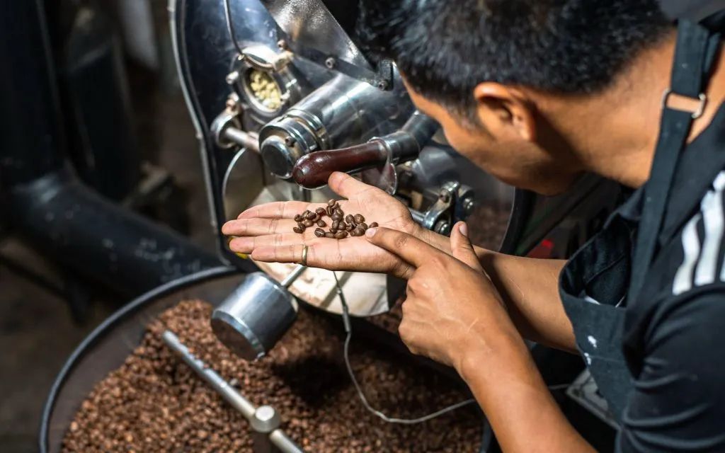 Roaster checking coffee beans during roasting