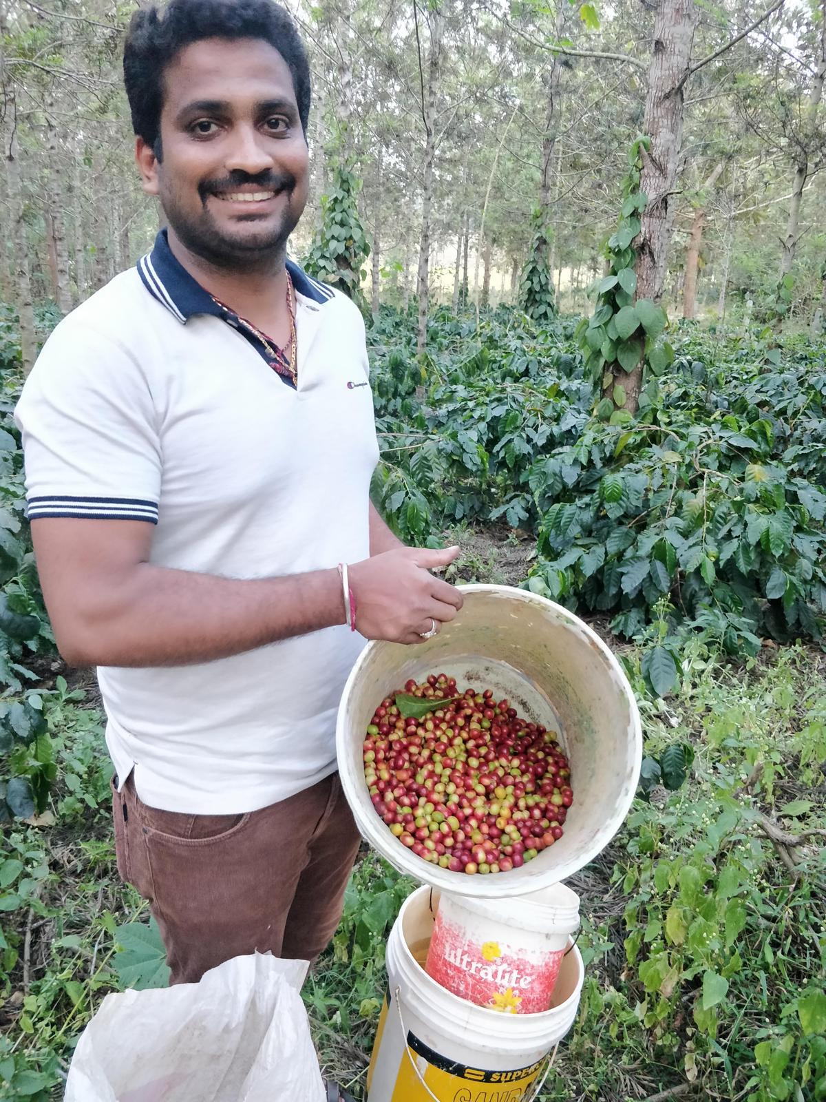 Lush coffee-growing hills in the Western Ghats